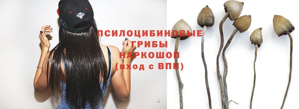 ПСИЛОЦИБИНОВЫЕ ГРИБЫ Абдулино