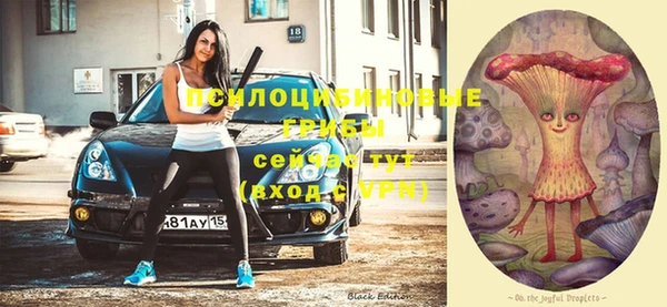 твердый Теберда