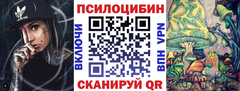 Псилоцибиновые грибы Psilocybine cubensis  Весьегонск 